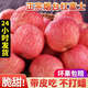 正宗山東煙臺紅富士蘋(píng)果9斤新鮮水果當季脆甜冰糖心棲霞條紋平果M 3斤裝中果【新鮮現摘】