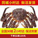【活鮮】喵和漁 鮮活帝王蟹公蟹帝皇蟹俄羅斯大螃蟹阿拉斯加海鮮 4.1-4.5斤/一只 （鮮活發(fā)貨）