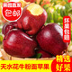 味果生甘肅天水花牛蘋(píng)果應季新鮮水果刮泥粉面寶寶輔食蛇蘋(píng)果整箱送禮 9斤大果【80-85mm】?jì)糁?.5斤