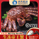 碼頭私語生凍鮮活帝王蟹5斤次日達生鮮海蟹帝皇蟹長腳蟹海鮮水產(chǎn)中秋禮物 8-8.5斤/只【送蠔王*2+遼參*3】