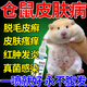 草之萃倉(cāng)鼠皮膚病真菌感染治皮癬瘙癢掉毛皮炎專(zhuān)用藥倉(cāng)鼠可舔除臭噴霧劑 1瓶裝【專(zhuān)治倉(cāng)鼠多種皮膚病】