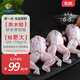 中洋魚(yú)天下 (ZHONGYANG GLOBAL FISH)牛蛙2.4斤共2袋（約6-8只）四去免處理 火鍋燒烤 源頭直發(fā) 中秋