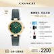 蔻馳（COACH）CARY系列人造水晶牛皮表帶石英女表14503951小綠表 禮物/送禮