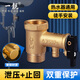 一靚電熱水器安全閥史密斯小廚寶全銅泄壓閥減壓閥止回閥裝置