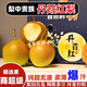 桃西村  山西運城臨猗當季現摘紅酥香梨蜜梨脆甜丹霞紅梨香梨皮薄化渣 5斤 中果【優(yōu)選裝】