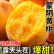 春福樂黃桃【源頭直發(fā)】山東蒙陰黃金水蜜桃子當(dāng)季新鮮水果現(xiàn)摘現(xiàn)發(fā) 5斤甄選裝丨顆顆甄選丨凈重4.5斤