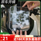 萬(wàn)沁珊適用臺(tái)鈴封神儀表盤(pán)防水保護(hù)罩機(jī)甲3電動(dòng)車(chē)高清儀表防顯示防刮殼 高清款（材質(zhì)更好）