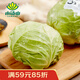 小湯山 北京 圓白菜 500g 基地直供新鮮蔬菜