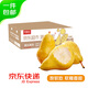 京鮮生   國產(chǎn)太婆梨 凈重4.5斤 單果150g+ 新鮮水果 源頭直發(fā)