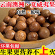 夏威夷果云南新鮮澳洲堅(jiān)果3斤原味生果水果帶青皮當(dāng)季大果一整箱S 3斤帶箱精選生果