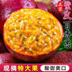 紫皮百香果 新鮮水果生鮮酸甜可口 當季應季水果簡(jiǎn)裝帶箱 紫皮百香果 40g~60g（中果）1斤
