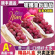 云南妮娜皇后葡萄輕奢【品質(zhì)認證】順豐直發(fā)無(wú)籽紅提當季原裝禮盒 精選2斤裝優(yōu)級果【空運】禮盒裝
