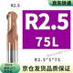 銑刀鉆頭60度鎢鋼球頭硬質(zhì)合金球刀球型R5 R3 R2 R1 R4 R6 R2.5xΦ5x75