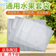 水果套袋防鳥(niǎo)防蟲(chóng)專(zhuān)用網(wǎng)袋葡萄無(wú)花果枇杷芒果蘋(píng)果袋草莓套袋神器 水果袋【葡萄24*38cm】50個(gè)