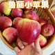 正宗魯麗小蘋果新鮮水果當(dāng)季整箱脆甜多汁應(yīng)季山東孕婦水果生鮮 凈重2斤 【單果65mm+】