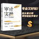 審計實(shí)操從入門(mén)到精通