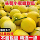 無名農(nóng)夫山東蜜罐小香瓜蜜蜂甜瓜黃金綠寶石脆瓜應(yīng)季新鮮水果禮盒 蜜寶凈重3斤【酥脆多汁】