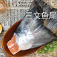 正宗進(jìn)口三文魚(yú)尾巴非國產(chǎn)即食冷凍野生鮮活新鮮中段魚(yú)骨魚(yú) 1501g3斤 尾巴