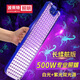波來特波來特蝎子燈2025新款大功率超亮強(qiáng)光紫光燈手提紫外線照蝎專用燈 BX-198【198顆紫光】送鑷子