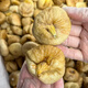 新貨即食大無(wú)花果干新疆新鮮干果無(wú)添加孕婦零食特產(chǎn)煲湯 特級大無(wú)花果干500g*2
