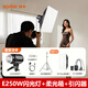 神牛（Godox）E250攝影閃光燈SK400ii二代專業(yè)室內(nèi)攝影棚打光燈250W證件照打光燈SK300W靜物產(chǎn)品拍照400W補光燈 E250W閃光燈【單燈引閃套裝】