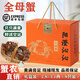 【活蟹】陽(yáng)澄沁沁大閘蟹 鮮活大湖螃蟹全母蟹 海鮮水產(chǎn)生鮮禮盒裝 【八只裝】全母蟹2.8-3.1兩