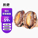 鮮馳 鮑魚鮮活新鮮超大海鮮水產(chǎn)生鮮活特大加熱即食小鮑魚撈汁飯批發(fā) 超大鮑魚凈重1斤【10-13頭】