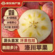 慧供蘋(píng)果正宗產(chǎn)地直發(fā)洛川奶油富士棲霞蘋(píng)果新鮮當季脆甜水果禮盒送禮 洛川8.5斤大果禮箱款【80-85mm】