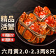 【活蟹】大閘蟹鮮活螃蟹3.0-3.3兩 去繩足重六月黃現(xiàn)貨大湖蟹禮盒 精選大閘蟹*六月黃2.0-2.3兩8只