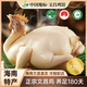 椰順海南文昌雞白切雞鹽焗雞正宗180天椰林散養雞海南特產(chǎn)加熱即食 120天白切雞*1只