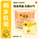 善元凰杭菊桐鄉精選菊花清涼解火泡水原料煲湯煮水泡茶送禮 桐鄉杭菊