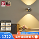 Paulmann P德國柏曼雙向照明壁燈全光譜護(hù)眼LED客廳臥室書房床頭走廊過道燈 【鏡光銀】10W-3000K-墻控