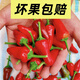 泡海椒泡椒新鮮燈籠椒新鮮烏紅新鮮辣椒燈籠椒草莓椒新鮮辣椒剁椒 3斤凈重