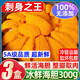 柒島【銷量10萬+】新鮮海膽鮮活現(xiàn)剝海膽肉刺身生吃馬糞海膽海膽黃 頂配 海膽【300g】180-200塊
