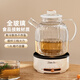 史迪熊110V煮茶壺養生壺日本美國全自動(dòng)煮茶器玻璃花茶壺電熱燒水壺家電 白 1.8L 美規110V日本美國加拿大