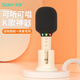 索愛（soaiy）MC52 話筒音響一體麥克風家用無線藍牙全民唱歌k歌寶兒童家庭直播ktv單話筒+底座 油彩白