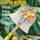 靚做高空摘果器多功能不銹鋼可定位新款抄網(wǎng)桿摘水果神器摘果網(wǎng)兜 摘果器單頭【直徑16cm】