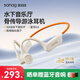 SANAG塞那 B33S骨傳導(dǎo)游泳耳機(jī) IPX8級(jí)防水防汗藍(lán)牙運(yùn)動(dòng)跑步掛耳開放式 適用小米蘋果 32G內(nèi)存 米色