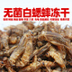 麥舒特白蟋蟀凍干爬寵糧飼料鬃獅睫角守宮烏龜角姥爺樹(shù)蛙繡眼鳥(niǎo)八哥糧食 20只1-2cm無(wú)菌凍干白蟋蟀/試吃裝