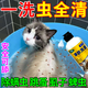 帥哲貓咪沐浴露驅(qū)蟲止癢除螨洗護二合一去虱子跳蚤抑菌除臭味清潔專用 1瓶【效果好怕不夠用】