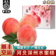 南步河北深州大蜜桃【順豐空運】馬莊大壽桃水蜜桃油蟠桃貢桃禮盒 8枚 精品大果【單果7-8兩】彩箱