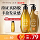 生姜防脫洗發(fā)水強(qiáng)韌洗護(hù)套裝側(cè)柏葉固發(fā)洗發(fā)露男女士防掉發(fā)800ml