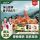 楊博士【童子雞】安徽皖南散養(yǎng)土雞小公雞新鮮雞肉1只凈重1.3斤源頭直發(fā) 3只童子雞丨贈雞血+照燒汁