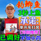 鯽魚餌料打窩專用黑坑鯽魚大板鯽魚濃腥香釣魚餌料野釣四季通用型 1袋裝【鯉魚成群來】