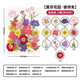 天色干花書簽材料包創(chuàng)意手工制作小學(xué)生男女孩畢業(yè)紀(jì)念禮物植物標(biāo)本莫奈花園彼得兔多色30朵TS-6136
