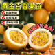 瑯闕黃金百香果欽蜜9號(hào)樹果苗庭院地栽南北方種植2棵40-50cm源頭直發(fā)
