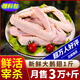 柒島大鵝生鮮整只鵝肉大白鵝老鵝新鮮農(nóng)家散養(yǎng)土鵝烤鵝煲湯紅燒批發(fā) 【人多另加】大鵝翅1斤