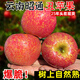 驕瑰云南昭通丑蘋(píng)果 高山冰糖心紅富士蘋(píng)果水果年貨節(jié)禮盒 果經(jīng)-90mm以上 （精品果王） 9斤精品裝【優(yōu)選推薦蕞劃算】