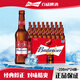 百威啤酒美式拉格236ml*24瓶裝經(jīng)典醇正9.7°P紅玻璃瓶國產(chǎn)精釀?wù)?百威啤酒 236mL 24瓶 整箱裝