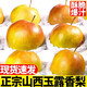 玉露香梨新鮮水果當(dāng)季現(xiàn)摘脆甜梨子酥梨隰縣香梨大果孕婦順豐包郵 凈重3斤【單果70mm】